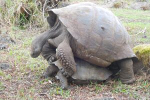 Muzyczne podróże przez świat. Galapagos / Fot. Barbara Libiszowska-Pawlak