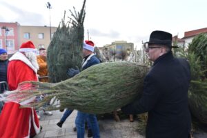 Końskie. Rozdawanie choinek podczas Jarmarku Bożonarodzeniowego / Fot. Magdalena Galas-Klusek - Radio Kielce