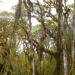 Muzyczne podróże przez świat. Galapagos / Fot. Barbara Libiszowska-Pawlak