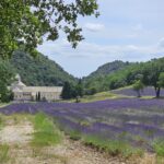 Muzyczne podróże przez świat. Prowansja / Fot. Grażyna Woźniczka