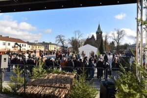 Końskie. Rozdawanie choinek podczas Jarmarku Bożonarodzeniowego / Fot. Magdalena Galas-Klusek - Radio Kielce