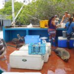 Muzyczne podróże przez świat. Galapagos / Fot. Barbara Libiszowska-Pawlak