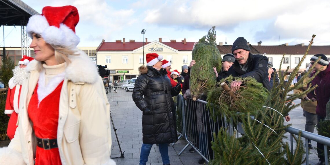 Końskie. Rozdawanie choinek podczas Jarmarku Bożonarodzeniowego / Fot. Magdalena Galas-Klusek - Radio Kielce