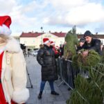 Końskie. Rozdawanie choinek podczas Jarmarku Bożonarodzeniowego / Fot. Magdalena Galas-Klusek - Radio Kielce