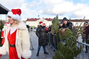 Końskie. Rozdawanie choinek podczas Jarmarku Bożonarodzeniowego / Fot. Magdalena Galas-Klusek - Radio Kielce