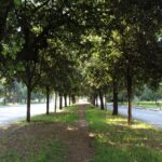 Muzyczne podróże przez świat. Włochy. Rzym. Viale delle Terme di Caracalla w śladzie antycznej Via Appia / Fot. Paweł Grzesik