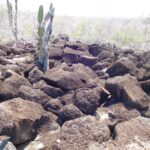 Muzyczne podróże przez świat. Galapagos / Fot. Barbara Libiszowska-Pawlak