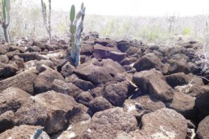 Muzyczne podróże przez świat. Galapagos / Fot. Barbara Libiszowska-Pawlak