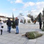 Końskie. Rozdawanie choinek podczas Jarmarku Bożonarodzeniowego / Fot. Magdalena Galas-Klusek - Radio Kielce