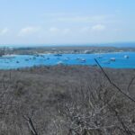Muzyczne podróże przez świat. Galapagos / Fot. Barbara Libiszowska-Pawlak