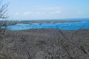 Muzyczne podróże przez świat. Galapagos / Fot. Barbara Libiszowska-Pawlak