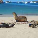 Muzyczne podróże przez świat. Galapagos / Fot. Barbara Libiszowska-Pawlak