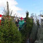 Końskie. Rozdawanie choinek podczas Jarmarku Bożonarodzeniowego / Fot. Magdalena Galas-Klusek - Radio Kielce