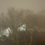Mgła / Fot. Iwona Murawska-Bujnowicz - Radio Kielce