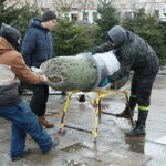 Boom na żywe choinki. Sprzedawane są nawet o 3 w nocy - Radio Kielce 15.12.2024. Kielce. Sprzedaż choinek. / Fot. Wiktor Taszłow - Radio Kielce