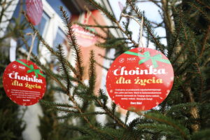 18.12.2024. Kielce. Akcja „Choinka dla życia” / Fot. Wiktor Taszłow - Radio Kielce