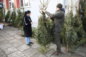 18.12.2024. Kielce. Akcja „Choinka dla życia” / Fot. Wiktor Taszłow - Radio Kielce