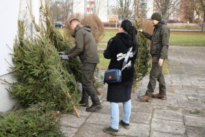 18.12.2024. Kielce. Akcja „Choinka dla życia” / Fot. Wiktor Taszłow - Radio Kielce