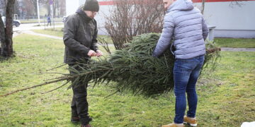 Podzielili się bezcennym darem i otrzymali choinkę