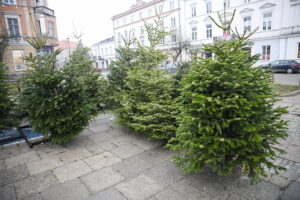 23.12.2024. Kielce. Plac Wolności. Choinki / Fot. Wiktor Taszłow - Radio Kielce