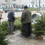 23.12.2024. Kielce. Plac Wolności. Choinki / Fot. Wiktor Taszłow - Radio Kielce