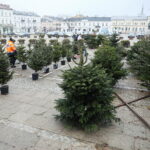 23.12.2024. Kielce. Plac Wolności. Choinki / Fot. Wiktor Taszłow - Radio Kielce