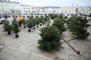 23.12.2024. Kielce. Plac Wolności. Choinki / Fot. Wiktor Taszłow - Radio Kielce