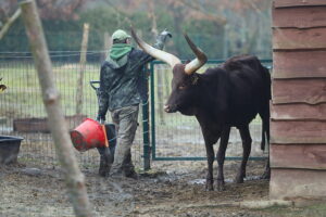 02.12.2024. Lisów. Zoo Leśne Zacisze / Fot. Wiktor Taszłow - Radio Kielce