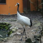 02.12.2024. Lisów. Zoo Leśne Zacisze / Fot. Wiktor Taszłow - Radio Kielce