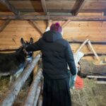 21.12.2024. Sandomierz. Żywa szopka / Fot. Grażyna Szlęzak - Radio Kielce