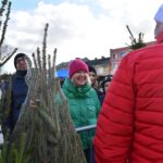 Końskie. Rozdawanie choinek podczas Jarmarku Bożonarodzeniowego / Fot. Magdalena Galas-Klusek - Radio Kielce