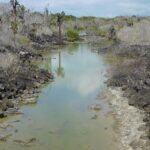 Muzyczne podróże przez świat. Galapagos / Fot. Barbara Libiszowska-Pawlak