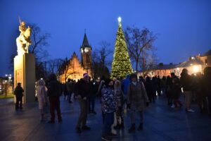 06.12.2024. Końskie. Choinka i świąteczne iluminacje na rynku / Fot. Magdalena Galas-Klusek – Radio Kielce