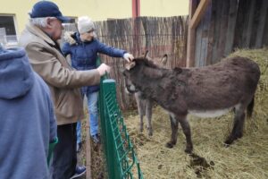 Ostrowiec Świętokrzyski. Szopka przy Domu Ulgi w Cierpieniu / Fot. Facebook - ŚDS Focha