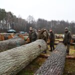 X Regionalna Submisja Drewna Szczególnego w RDLP w Radomiu / Fot. Edyta Nowicka - Regionalna Dyrekcja Lasów Państwowych w Radomiu