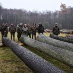 X Regionalna Submisja Drewna Szczególnego w RDLP w Radomiu / Fot. Edyta Nowicka - Regionalna Dyrekcja Lasów Państwowych w Radomiu