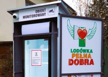 Nie wyrzucaj bigosu po świętach - możesz się nim podzielić z potrzebującymi