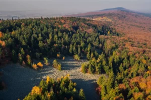 Świętokrzyski Park Narodowy zostanie powiększony