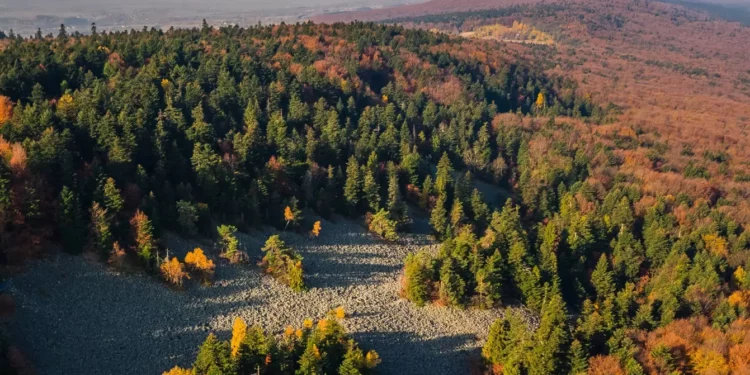 Świętokrzyski Park Narodowy zostanie powiększony