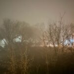 02.12.2024. Mgła / Fot. Iwona Murawska-Bujnowicz - Radio Kielce