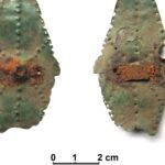 Miniaturowa tarcza z Wojnowic / Fot. dr hab. M. Florek