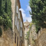 Muzyczne podróże przez świat. Prowansja / Fot. Grażyna Woźniczka