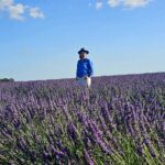 Muzyczne podróże przez świat. Prowansja / Fot. Grażyna Woźniczka