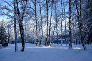 14.01.2025. Czarniecka Góra / Fot. Magdalena Galas-Klusek - Radio Kielce