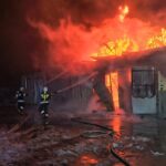 Ogień w szkółce drzew - Radio Kielce 13.01.2025. Suchowola. Pożar / Fot. Straż Pożarna