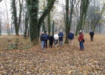 Zabytkowy park Zamoyskich został zrewitalizowany