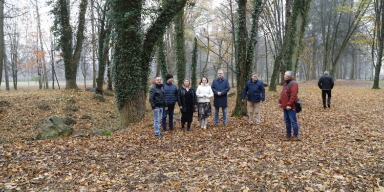 Zabytkowy park Zamoyskich został zrewitalizowany