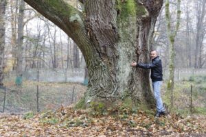 Zrewitalizowany park Zamoyskich w Rudzie Pilczyckiej / źródło: Jarosław Staciwa - Facebook