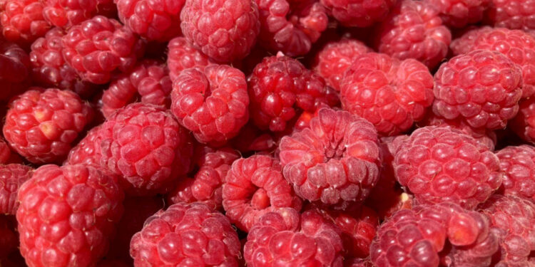 „5 minut dla malin” - Radio Kielce „5 minut dla malin” - Radio Kielce