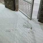 03.01.2025. Kielce. Śnieg. / Fot. Wiktor Taszłow - Radio Kielce